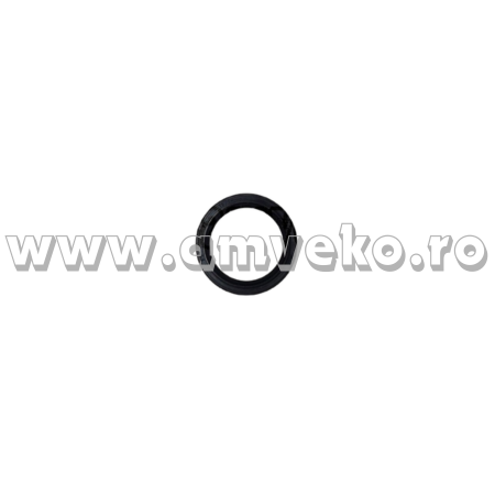 Sistem directie Balkancar - Simering stivuitor Balkancar 55x72x10-1 mm - 10066560