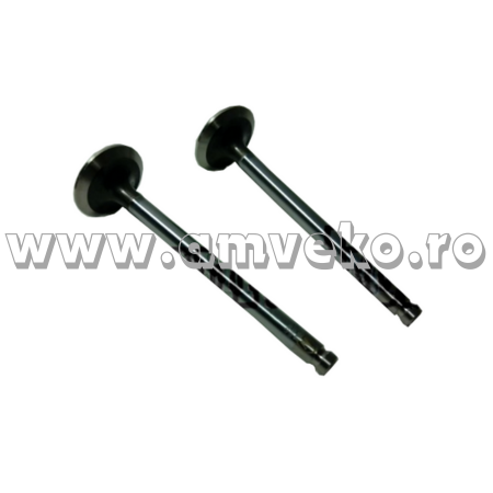Piese motor Balkancar - Supapa admisie stivuitor Balkancar D2500 - 10032725 - Amveko Industry