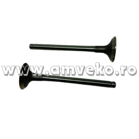 Piese motor Balkancar - Supapa evacuare stivuitor Balkancar D3900 - 10032750 - Amveko Industry