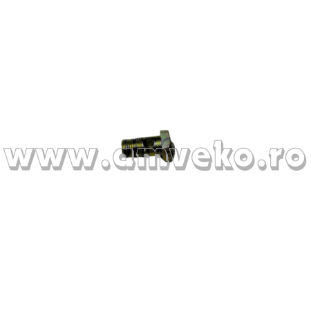 Piese Balkancar - Supapa filtru combustibil stivuitor Balkancar D3900 - 10066162
