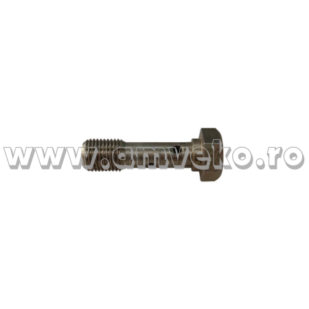 Sistem hidraulic Balkancar - Surub cap hidraulic pompa injectie stivuitor Balkancar D2500, D3900 - 10134606