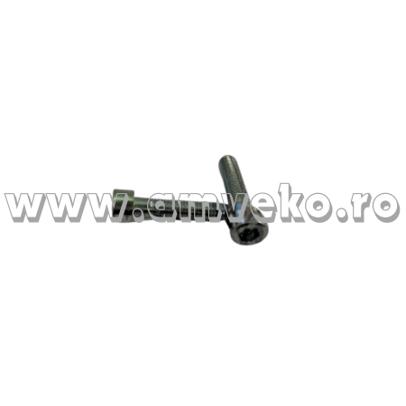 Alte piese catarg - Surub securitate cu cap in cruce stivuitor Linde - 10048795 - 9045316245