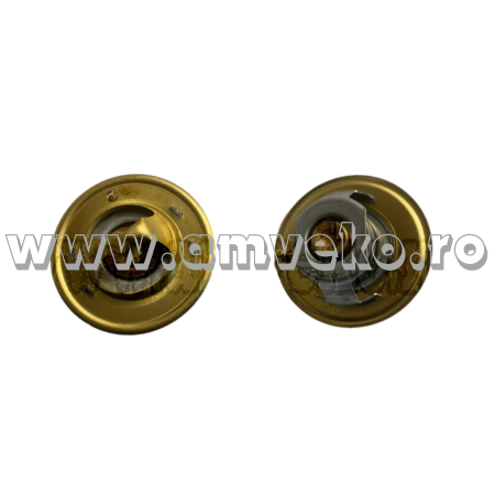 Sistem racire Balkancar - Termostat stivuitor Balkancar D2500 - 10034230 - Amveko Industry