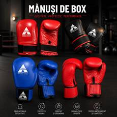 Boxing gloves