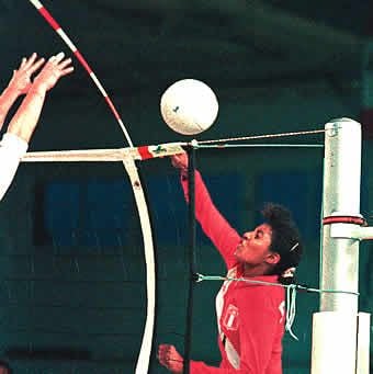 Antene / tije volei Huck, aprobate DVV [4]