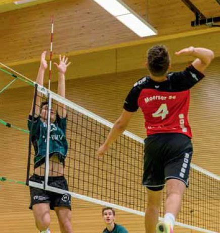 Huck volleyball antennas, two-part, with DVV test mark [8]