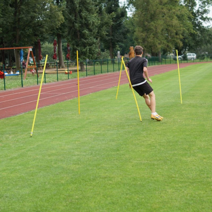 Set 12 bastoane tip jalon antrenament Sportech, varf metalic, 170 cm cu husa transport [7]