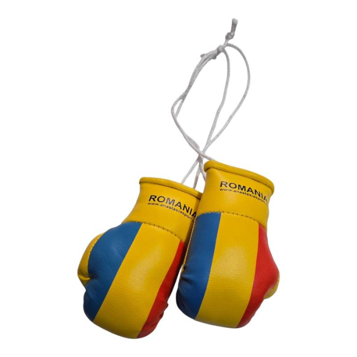 Anastasia Sport mini boxing gloves with the Romanian flag [6]