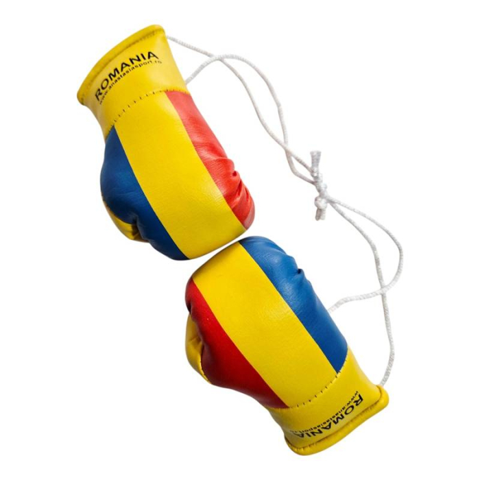 Anastasia Sport mini boxing gloves with the Romanian flag [4]