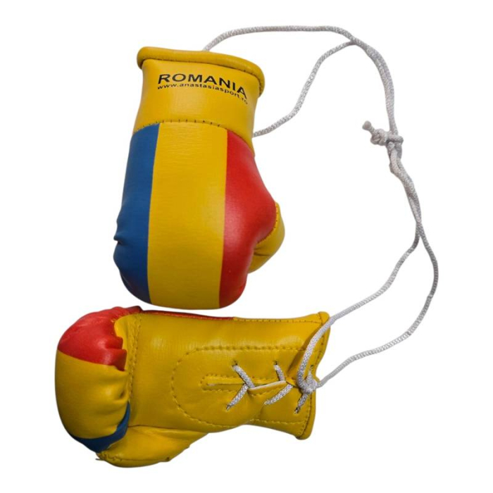 Anastasia Sport mini boxing gloves with the Romanian flag [7]