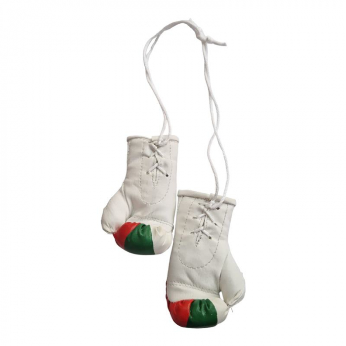 Anastasia Sport mini boxing gloves with the Bulgarian flag [2]