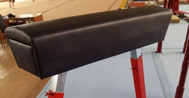 POMMEL HORSE WITHOUT HANDLES [5]