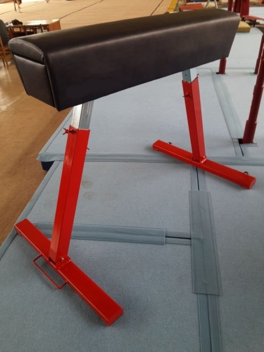 POMMEL HORSE WITHOUT HANDLES [2]
