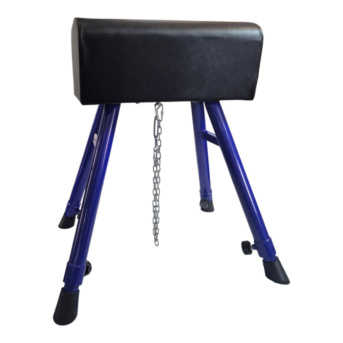 Anastasia Sport Gymnastic Vaulting Horse, with 4 adjustable legs [7]