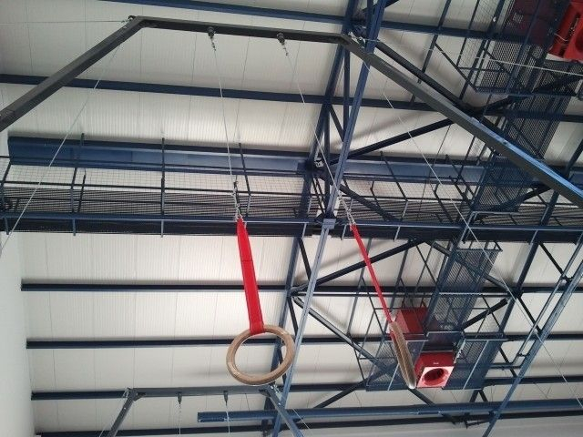 Inele gimnastica [2]