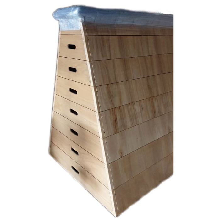Lada gimnastica trapezoidala  inaltime 160 cm, conforma cerintelor de admitere M.A.I [5]