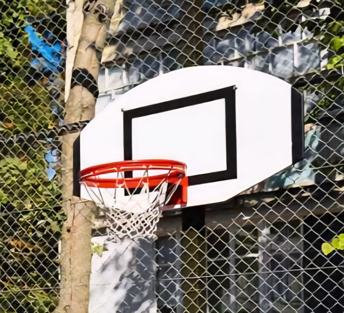 Panou baschet tego Anastasia Sport, model STREETBALL 120x70 cm [5]