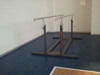 Paralele egale gimnastica, pentru barbati [2]