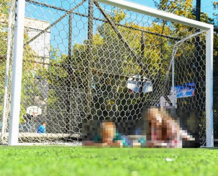 Poarta fotbal 3x2m mobila, aluminiu profil 120x100 mm, spate otel [24]