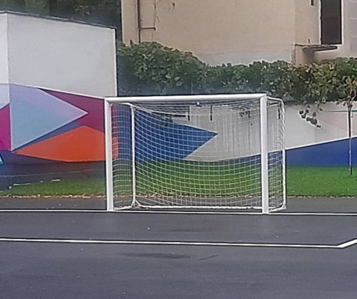 Poarta fotbal 3x2m mobila, aluminiu profil 120x100 mm, spate otel [9]
