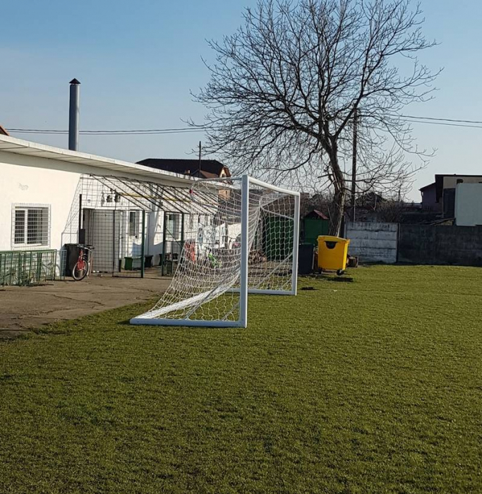 Poarta fotbal 7,32 x 2,44 m, mobila, aluminiu 120x100 mm [7]