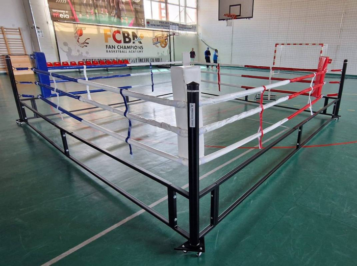 Ring de box 4x4 m, mobil, pliabil, pentru antrenament [3]