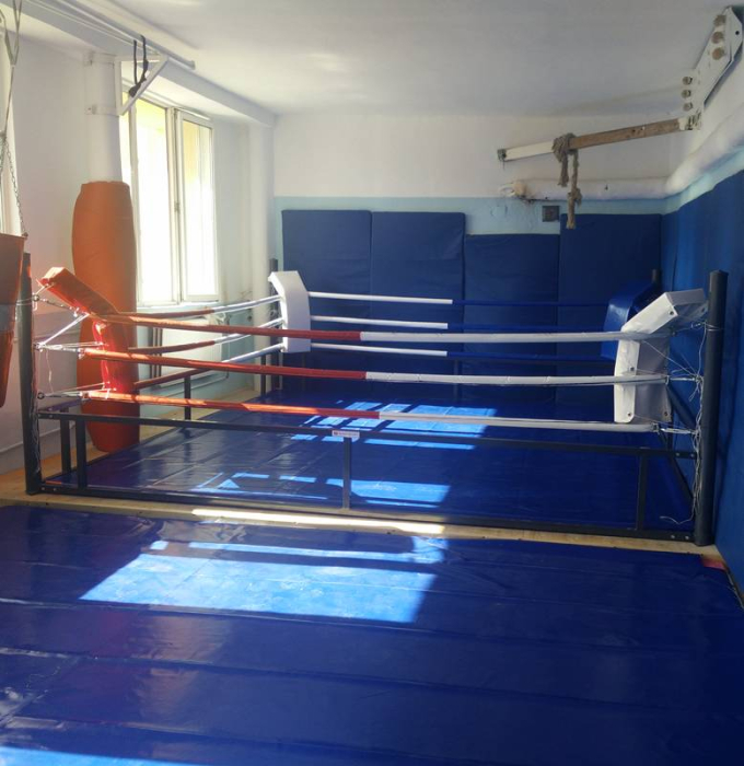 Ring de box 4x4 m, mobil, pliabil, pentru antrenament [5]