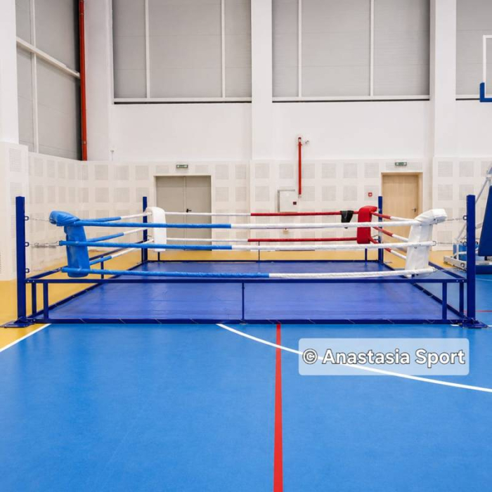 Boxing ring training 4 х 4 м [6]