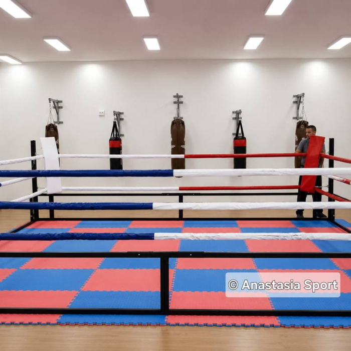 Boxing ring training 4 х 4 м [4]