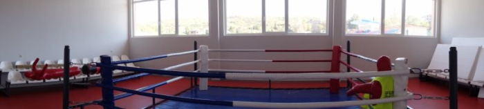 Boxing ring training 4 х 4 м [2]