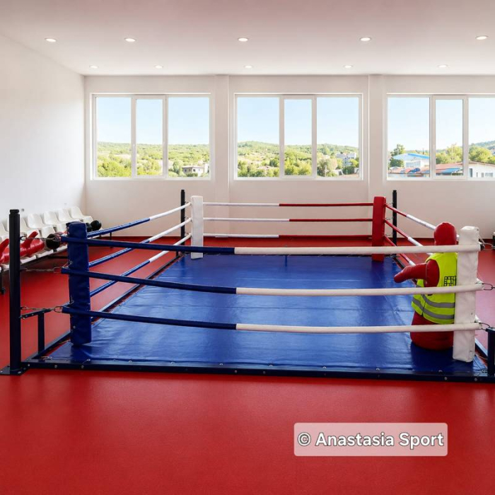 Boxing ring training 4 х 4 м [7]