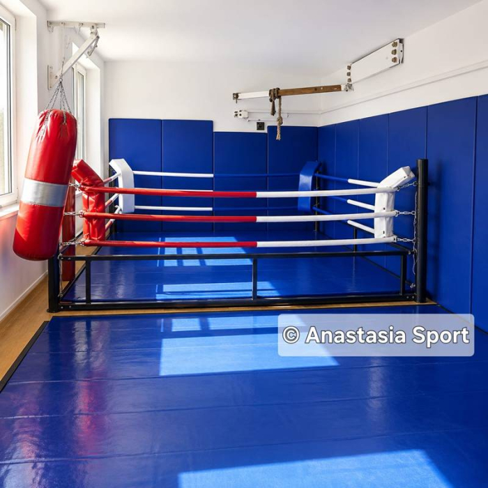 Boxing ring training 4 х 4 м [5]