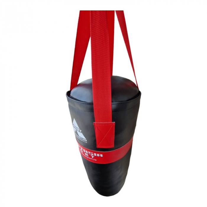 Sac box junior Anastasia Sport 80 cm si manusi box 8 OZ [5]