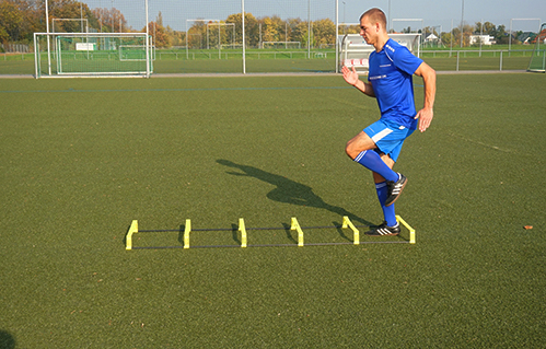 T-PRO hurdle ladder (foldable) - 6 rungs [6]