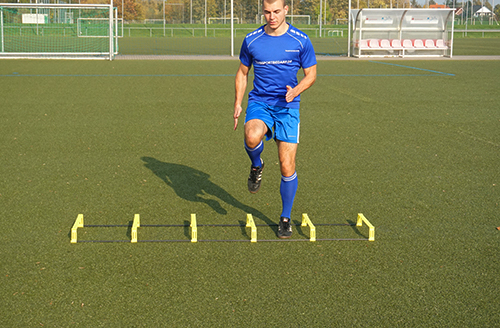 T-PRO hurdle ladder (foldable) - 6 rungs [5]