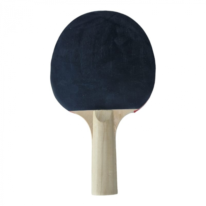 Set 2 palete tenis masa Master + 3 mingi si husa [8]
