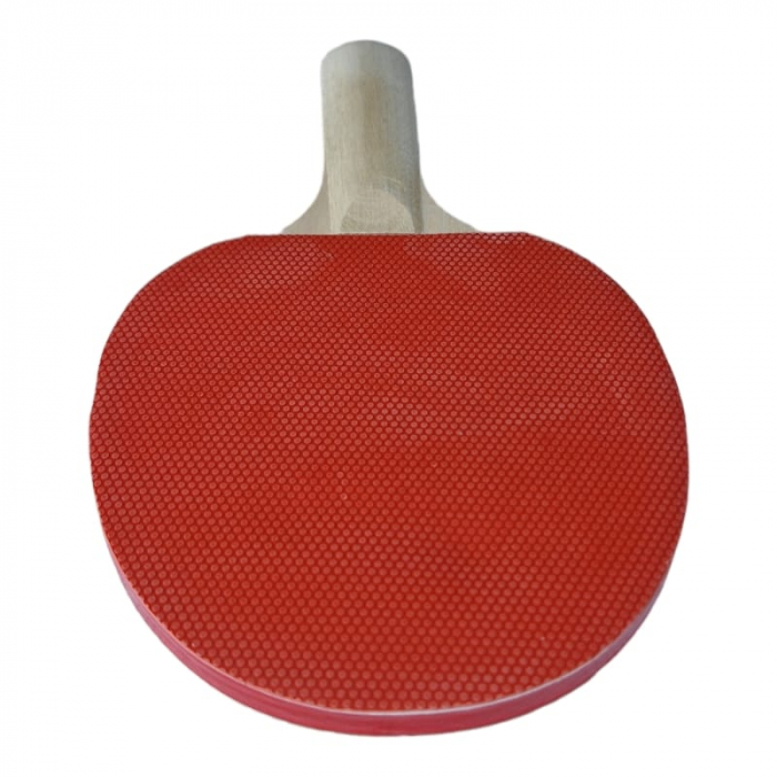 Set 2 palete tenis masa Master + 3 mingi si husa [6]