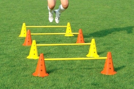 Training set: 10 gymnastic hoops, set of 5 hurdles, 50 sticks/bars, 8 cones + 4 batons, 1 ladder [2]