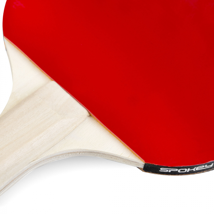 ROLL JOY RL ping pong set [5]