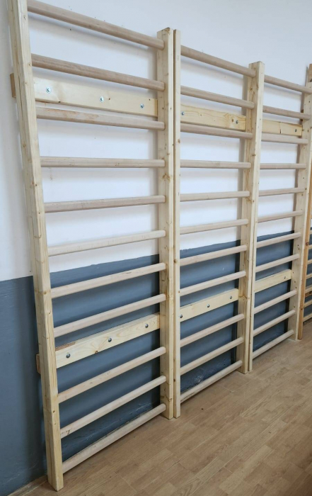 Spalier standard gimnastica Anastasia Sport 230x85 cm [5]