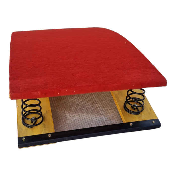 Gymnastic trampoline with springs [3]
