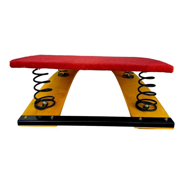 Gymnastic trampoline with springs [2]