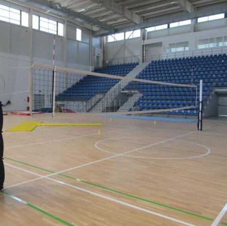 Anastasia Sport volleyball net antennas [7]