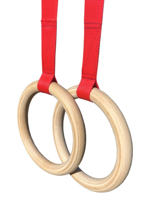 Inele gimnastica [4]