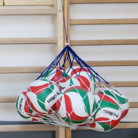 Pack of 10 Molten MS500-Neon outdoor volleyballs + BN10 ball net [10]