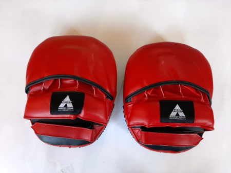 Anastasia Sport focus pad [3]