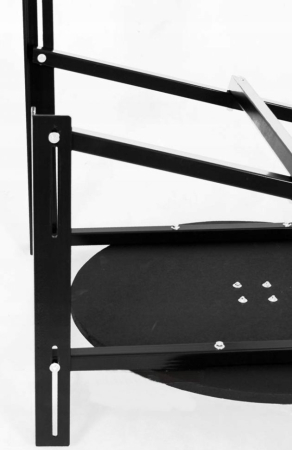 Speedball platform set Anastasia Sport + pump* (speedball installation) with adjustable height [2]