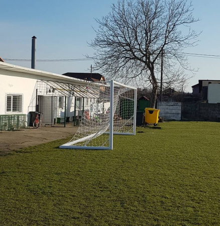 Poarta fotbal 7,32 x 2,44 m, mobila, aluminiu 120x100 mm [6]