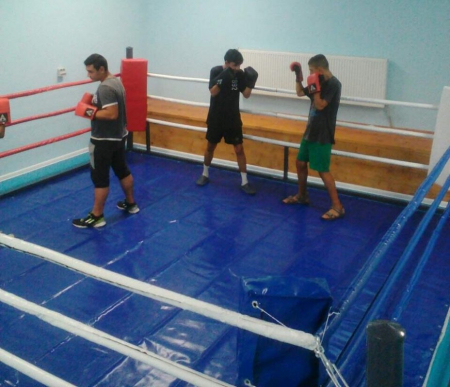 Foldable boxing ring 4×4 m [3]