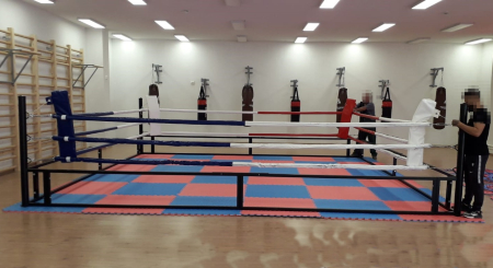 Ring de box 4x4 m, mobil, pliabil, pentru antrenament [10]